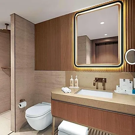 Delta By Marriott Karakoy 4*